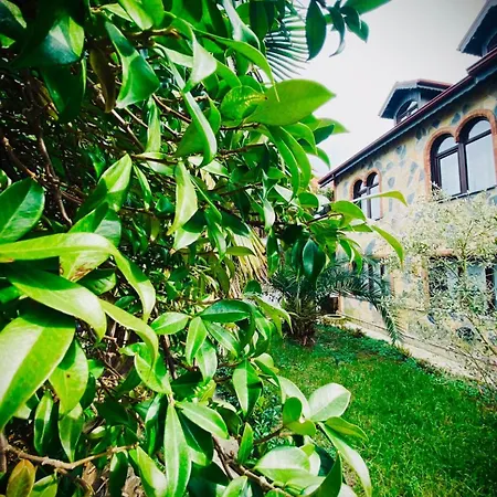 Casa Dell'arte Kerpe Pensión Kandira